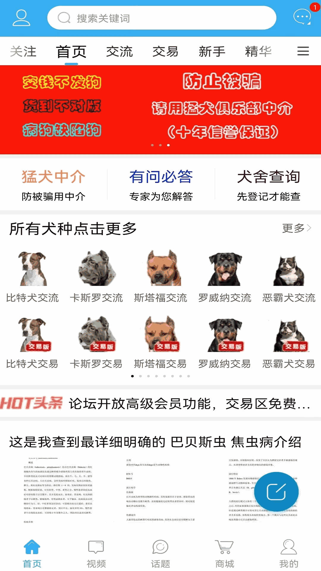 猛犬俱乐部